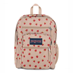 Sac à Dos Ordinateur JanSport BIG STUDENT Rose Rouge | LYJ-26480962